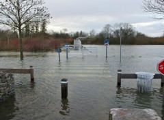  Nature zone inondée