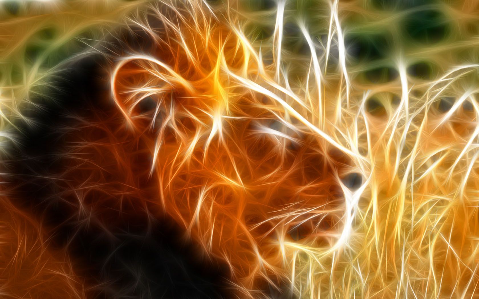 Wallpapers Animals Felines - Lions 