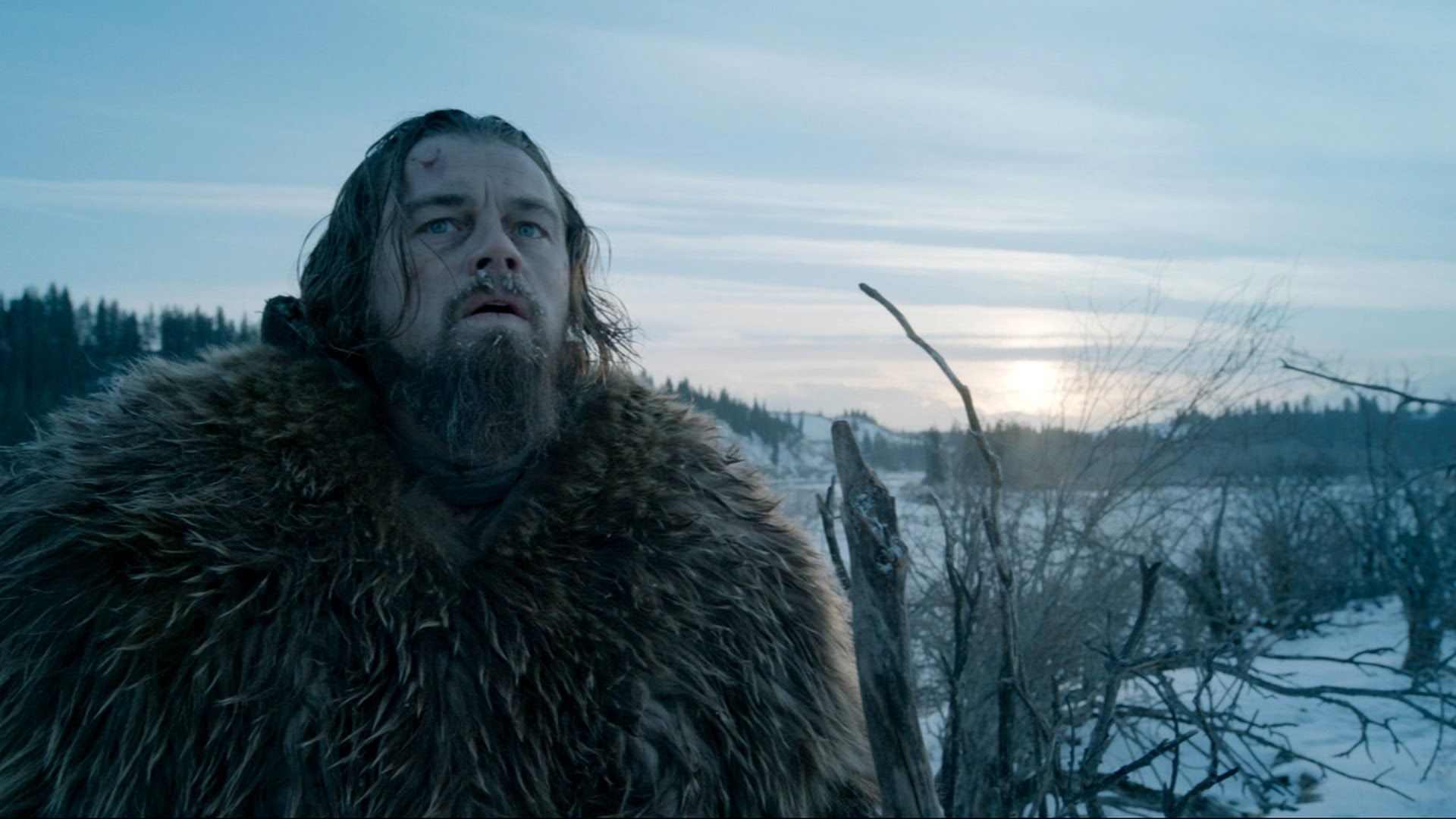 Wallpapers Movies The Revenant 