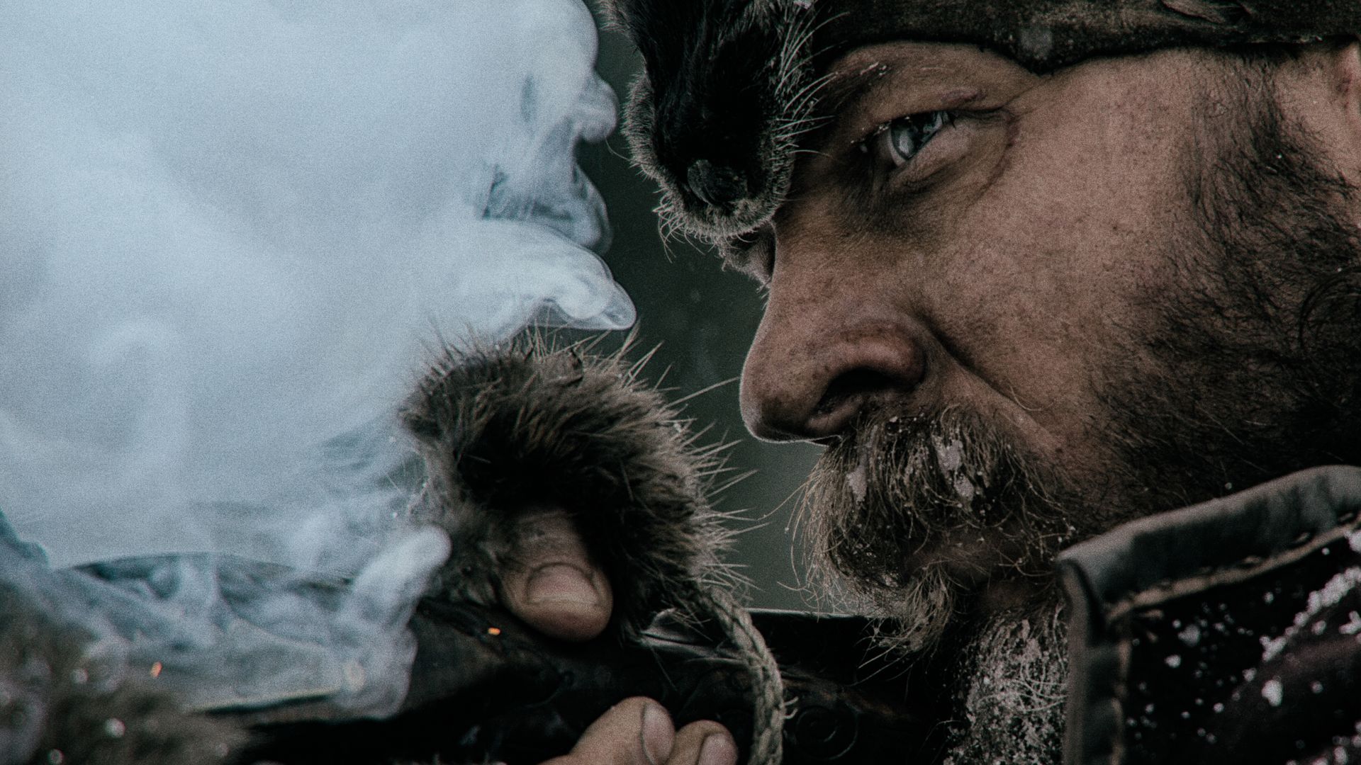 Wallpapers Movies The Revenant 