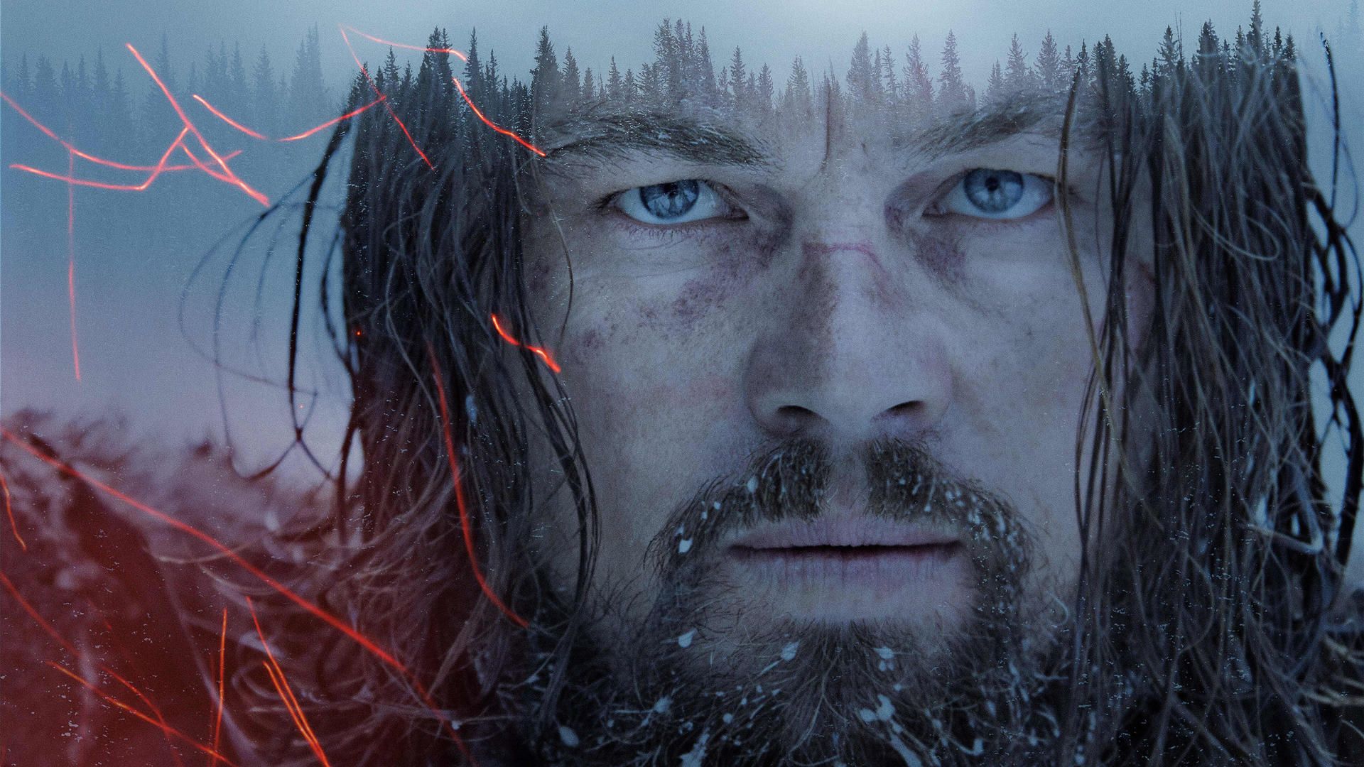 Fonds d'cran Cinma The Revenant 