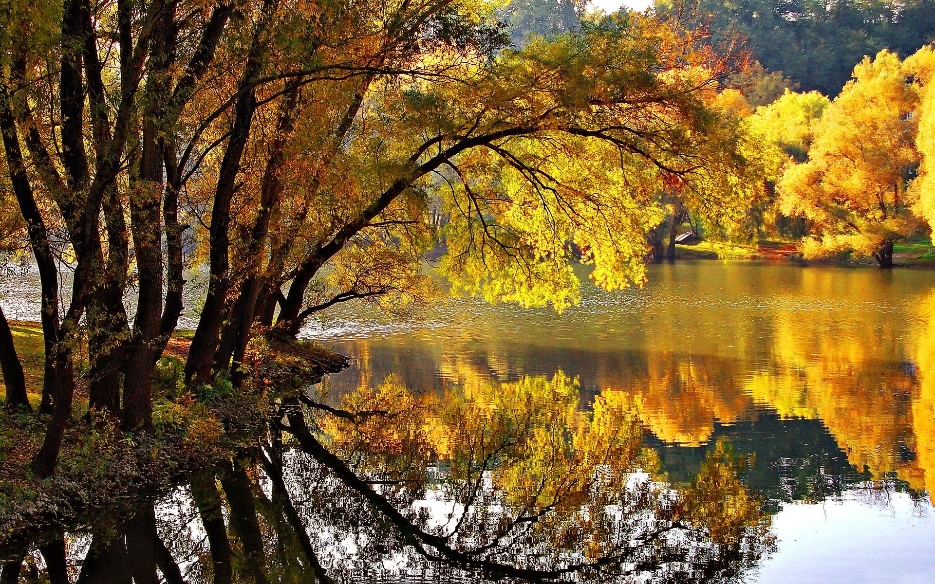 Fonds d'cran Nature Lacs - Etangs 