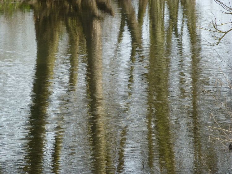 Fonds d'cran Nature Eau - Reflets Au coeur des reflets