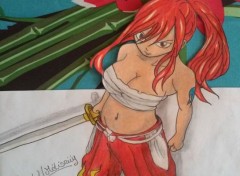  Art - Pencil ERZA SCARLET