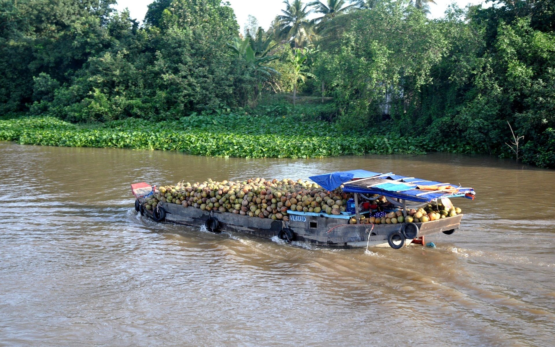 Wallpapers Trips : Asia Vietnam 