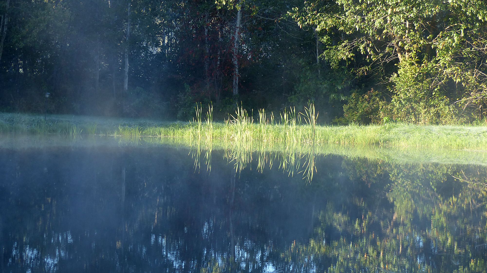 Wallpapers Nature Lakes - Ponds Brumes matinales