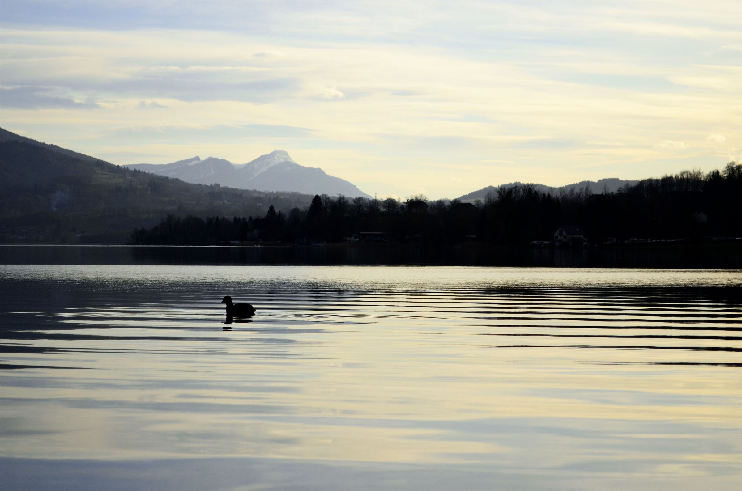 Fonds d'cran Nature Lacs - Etangs serenité