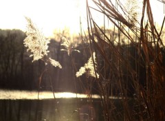  Nature serenité