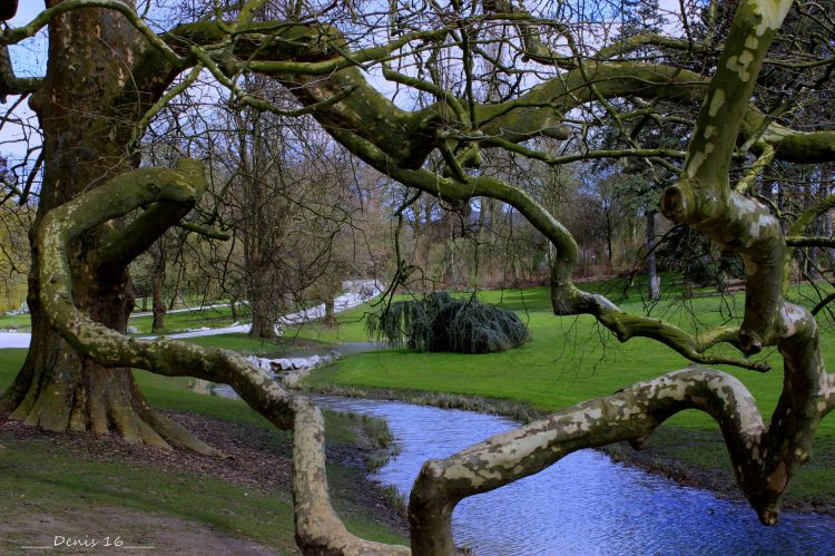 Fonds d'cran Nature Parcs - Jardins PARC BARBIEUX