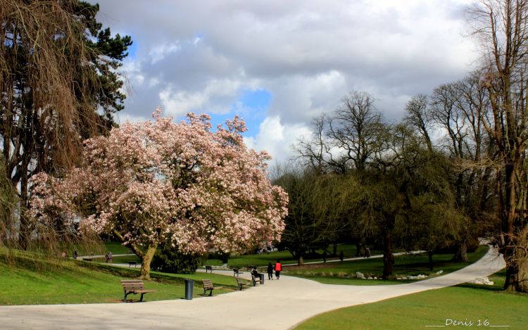 Fonds d'cran Nature Parcs - Jardins PARC BARBIEUX