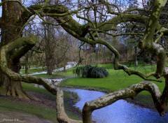  Nature PARC BARBIEUX