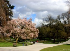  Nature PARC BARBIEUX