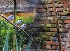  Animaux ZOO LILLE