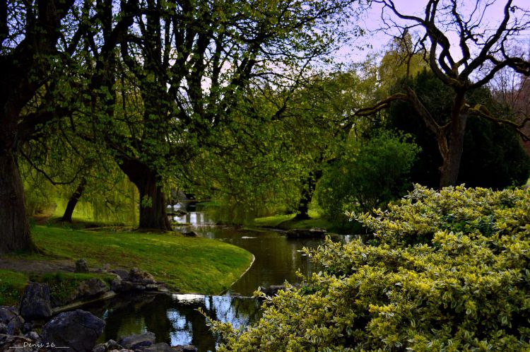 Fonds d'cran Nature Parcs - Jardins PARCS