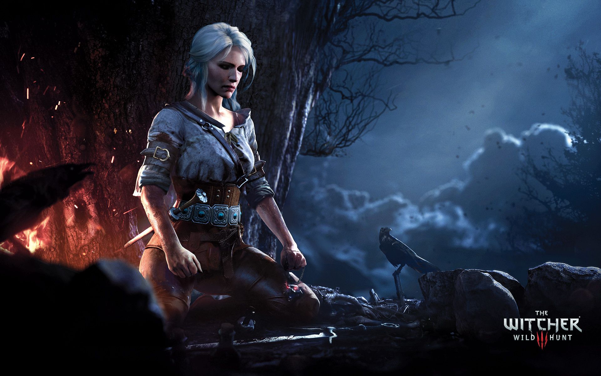 Fonds d'cran Jeux Vido The Witcher 3 