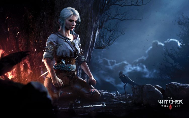 Wallpapers Video Games The Witcher 3 Wallpaper N431134