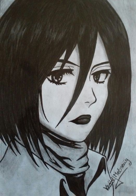 Fonds d'cran Art - Crayon Manga - Shingeki No Kyojin mikasa ackerman 