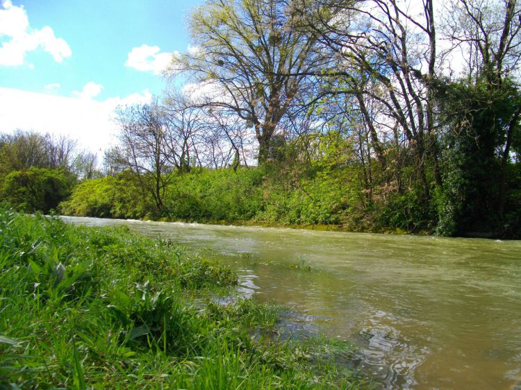 Fonds d'cran Nature Fleuves - Rivires - Torrents Ouche