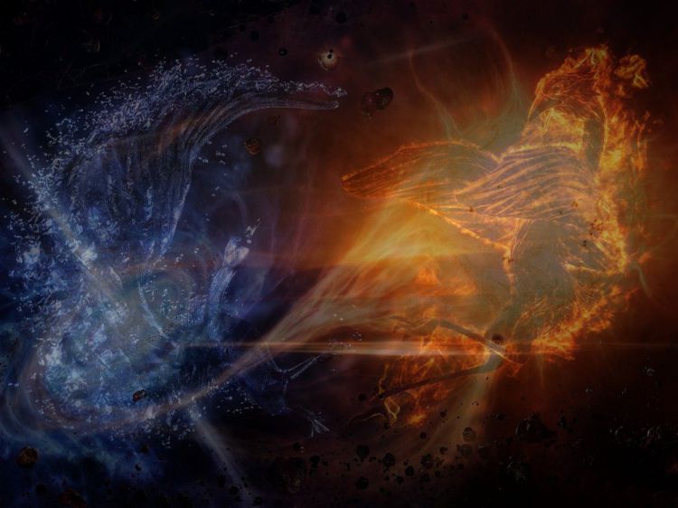 Wallpapers Fantasy and Science Fiction Creatures : Phoenix Wallpaper N431485