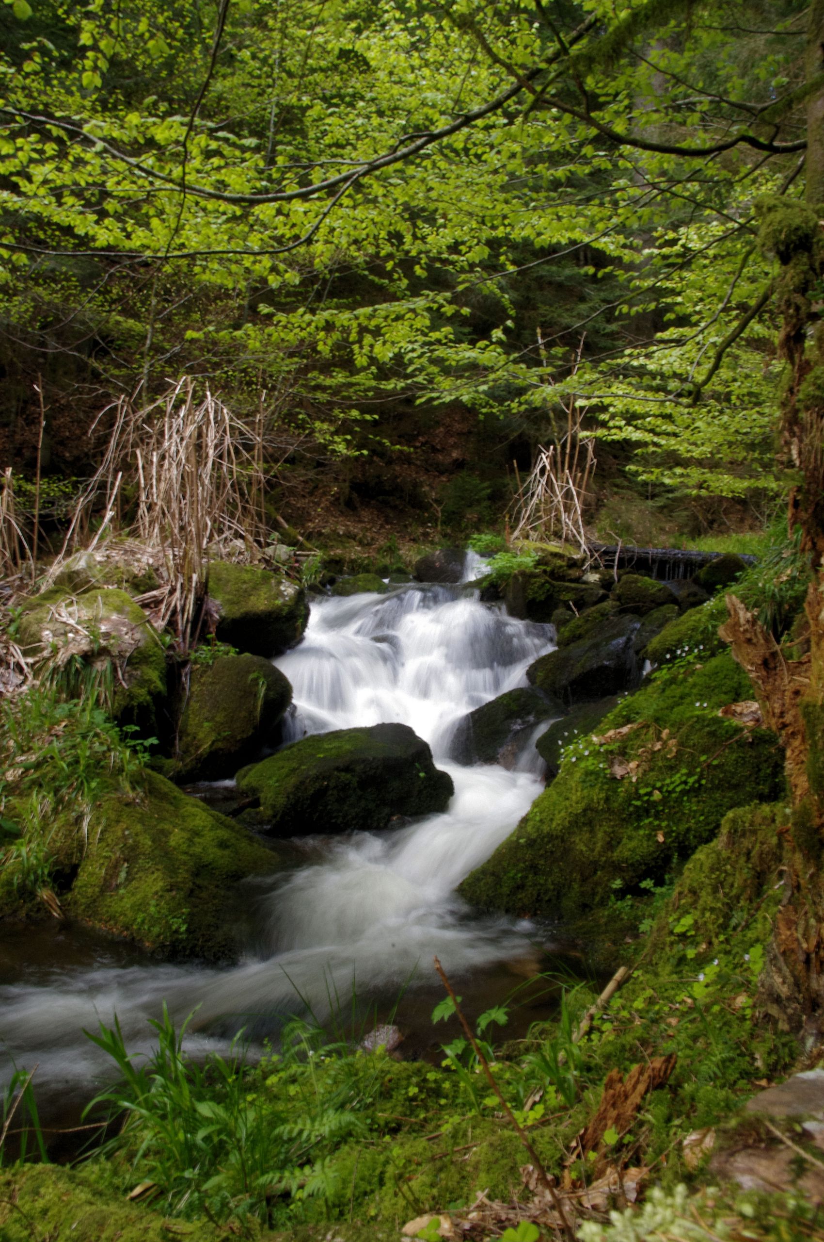 Fonds d'cran Nature Cascades - Chutes 