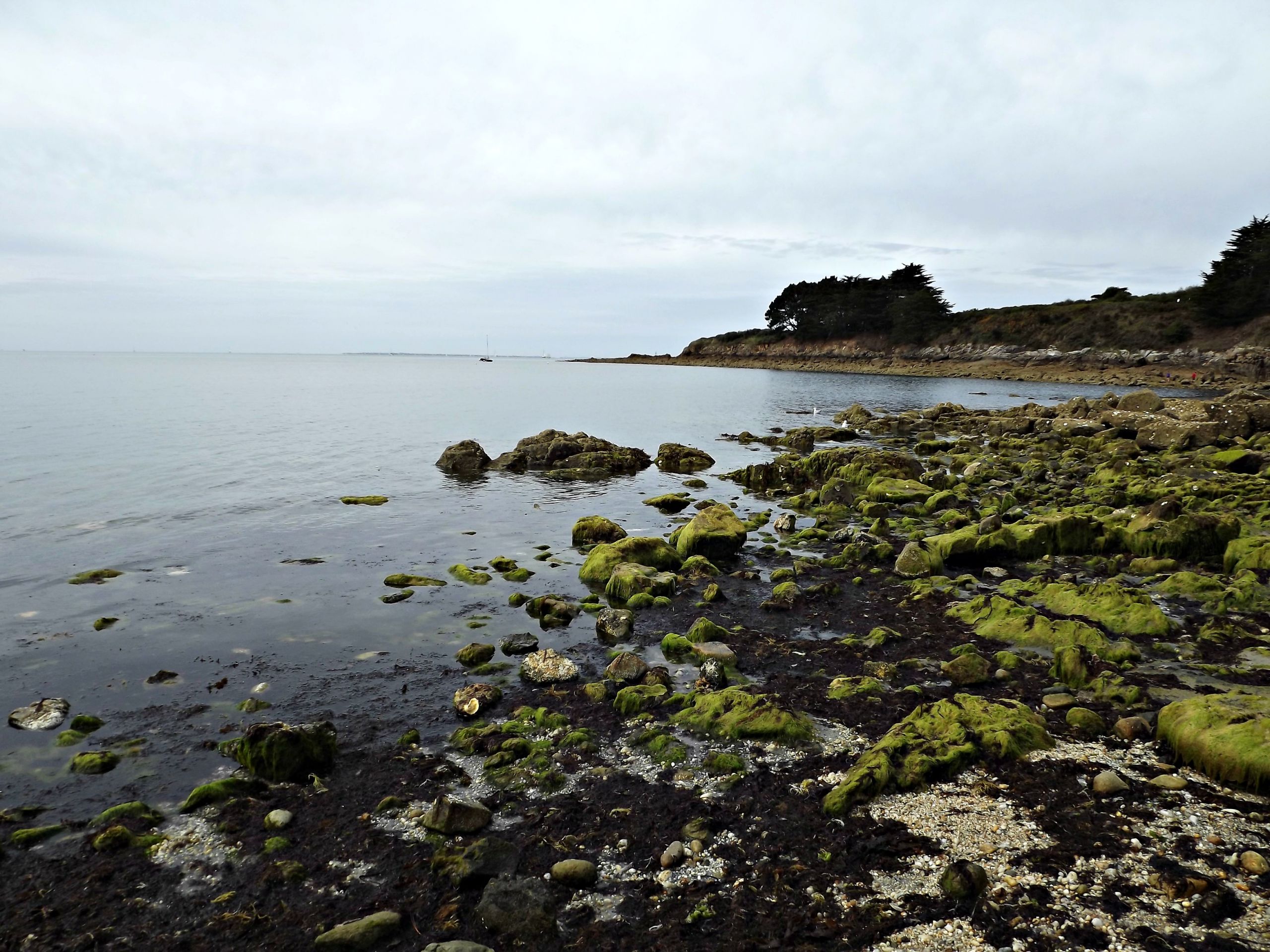 Wallpapers Nature Seas - Oceans - Beaches Golfe du morbihan