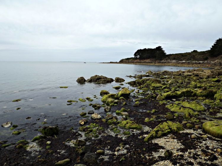 Wallpapers Nature Seas - Oceans - Beaches Golfe du morbihan