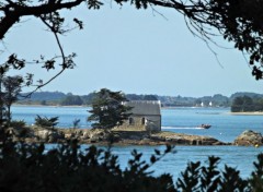  Nature Golfe du morbihan