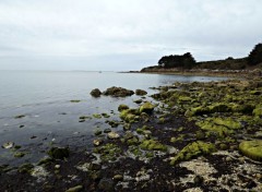  Nature Golfe du morbihan