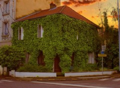  Constructions et architecture Maison verdure