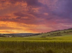  Nature Panorama