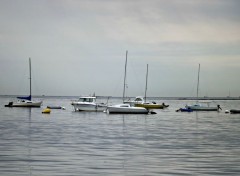  Boats sous la grisaille