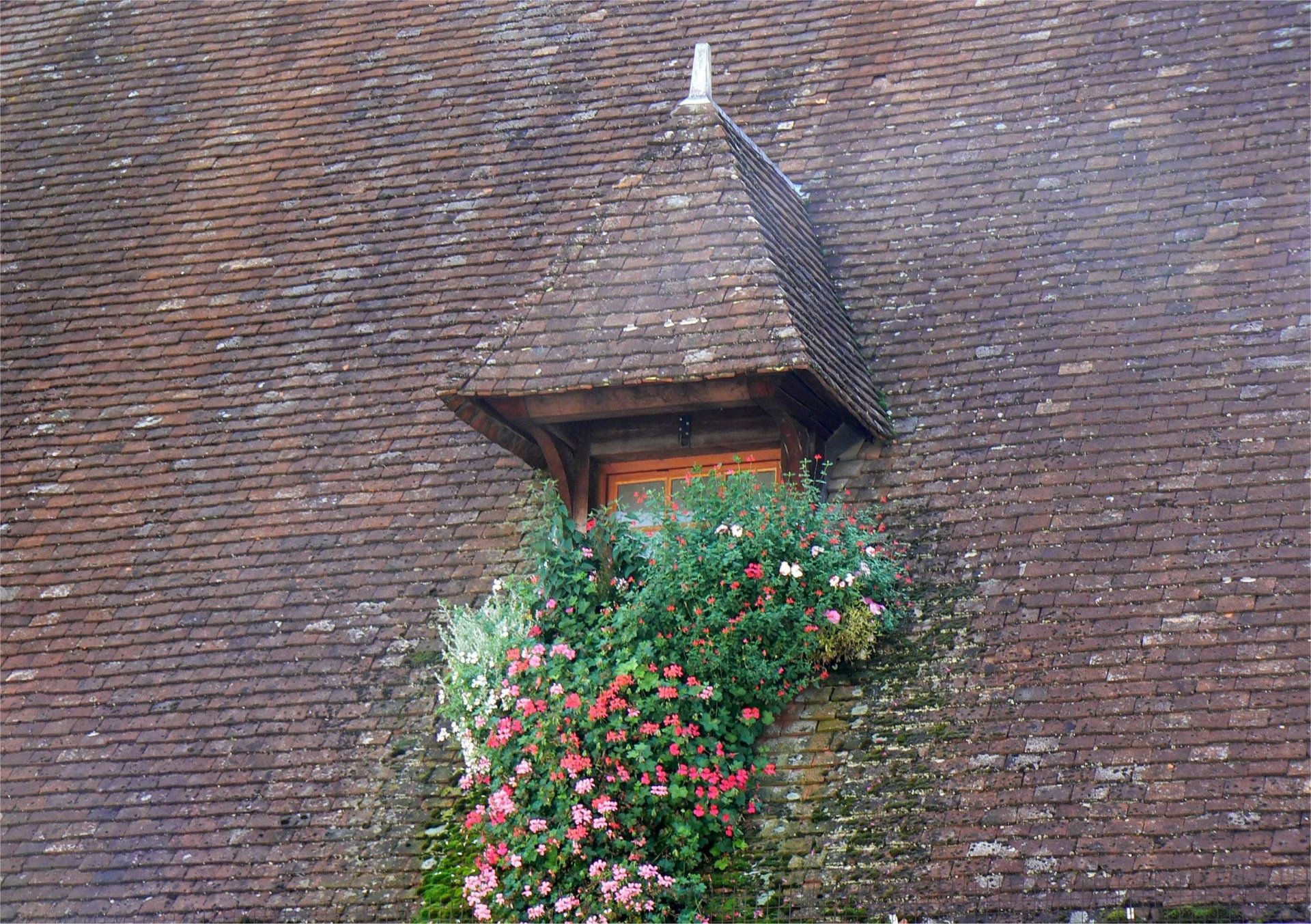 Fonds d'cran Constructions et architecture Toits - Murs - Cltures Toiture place Hospices de Beaune