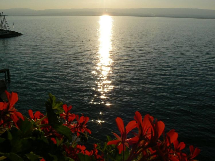 Fonds d'cran Nature Couchers et levers de Soleil Coucher de soleil sur le lac Léman