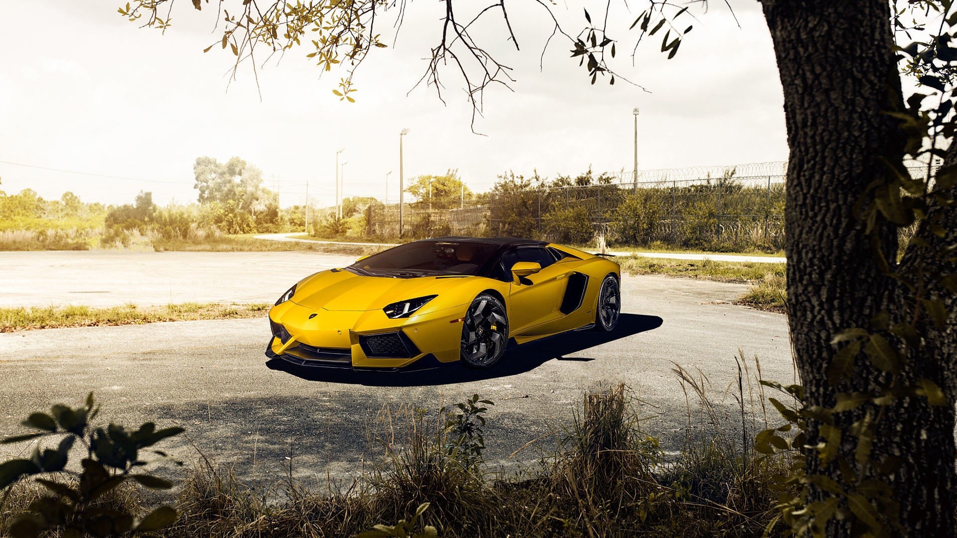 Wallpapers Cars Lamborghini 