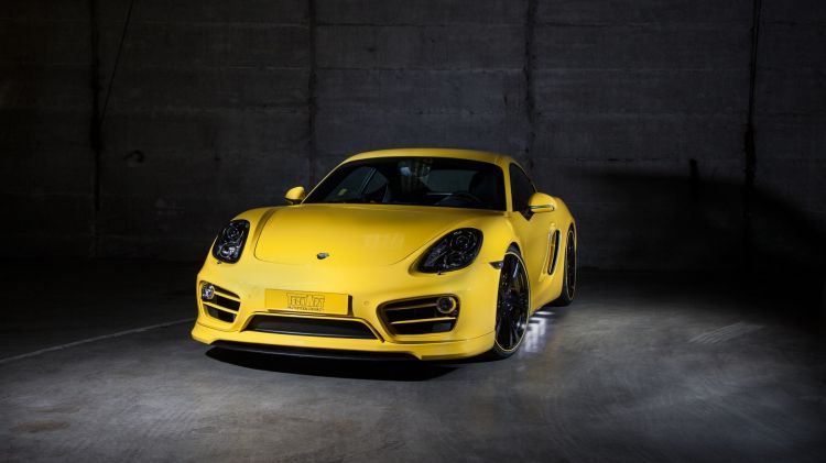 Wallpapers Cars Porsche Wallpaper N434233