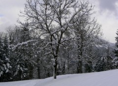  Nature Paysage de montagne enneigée. 