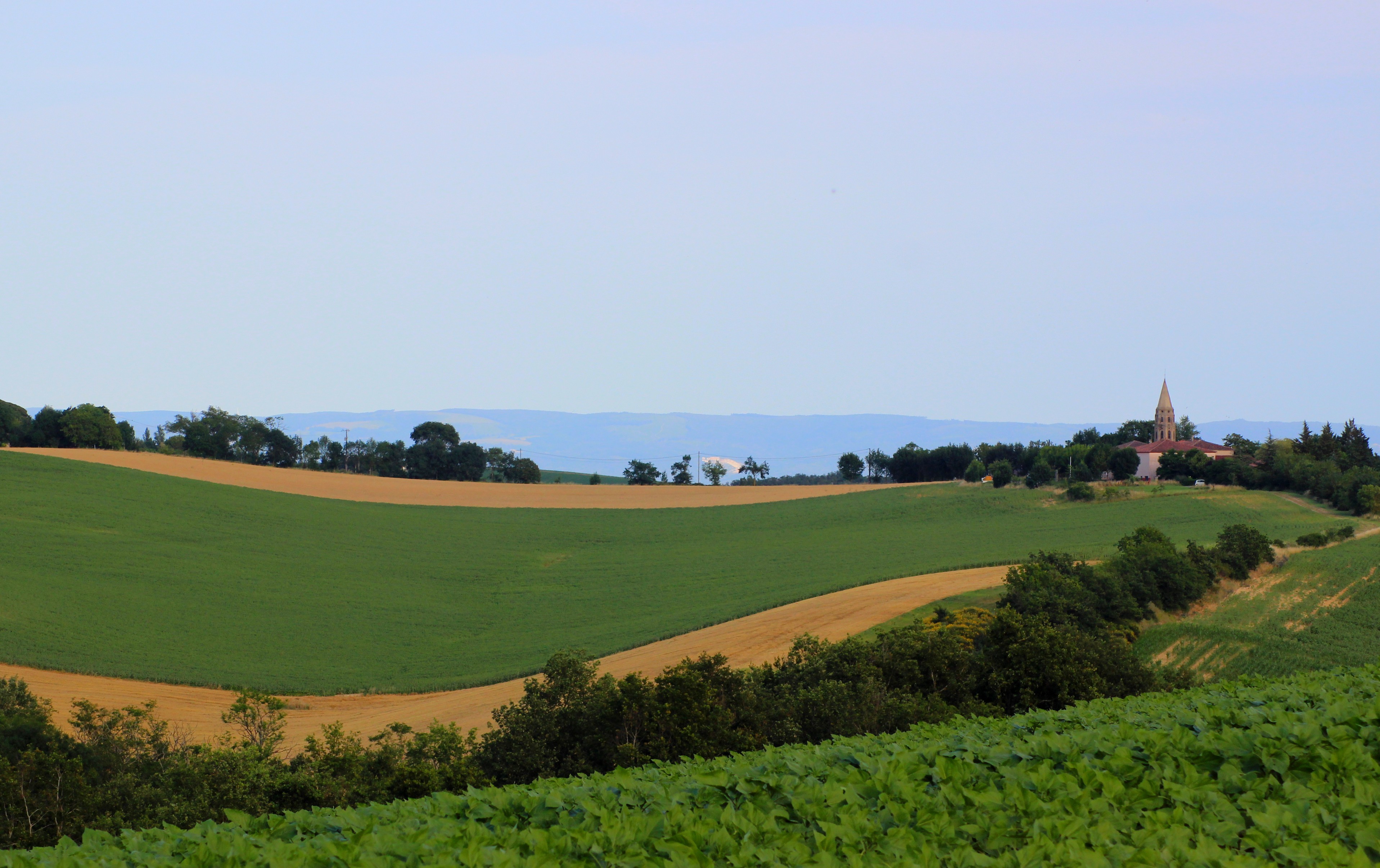 Fonds d'cran Voyages : Europe France > Midi-Pyrnes Campagne Tarnaise