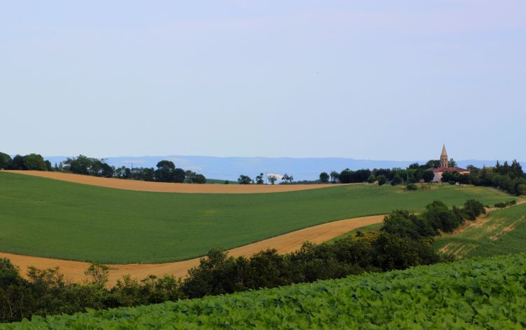 Fonds d'cran Voyages : Europe France > Midi-Pyrnes Campagne Tarnaise