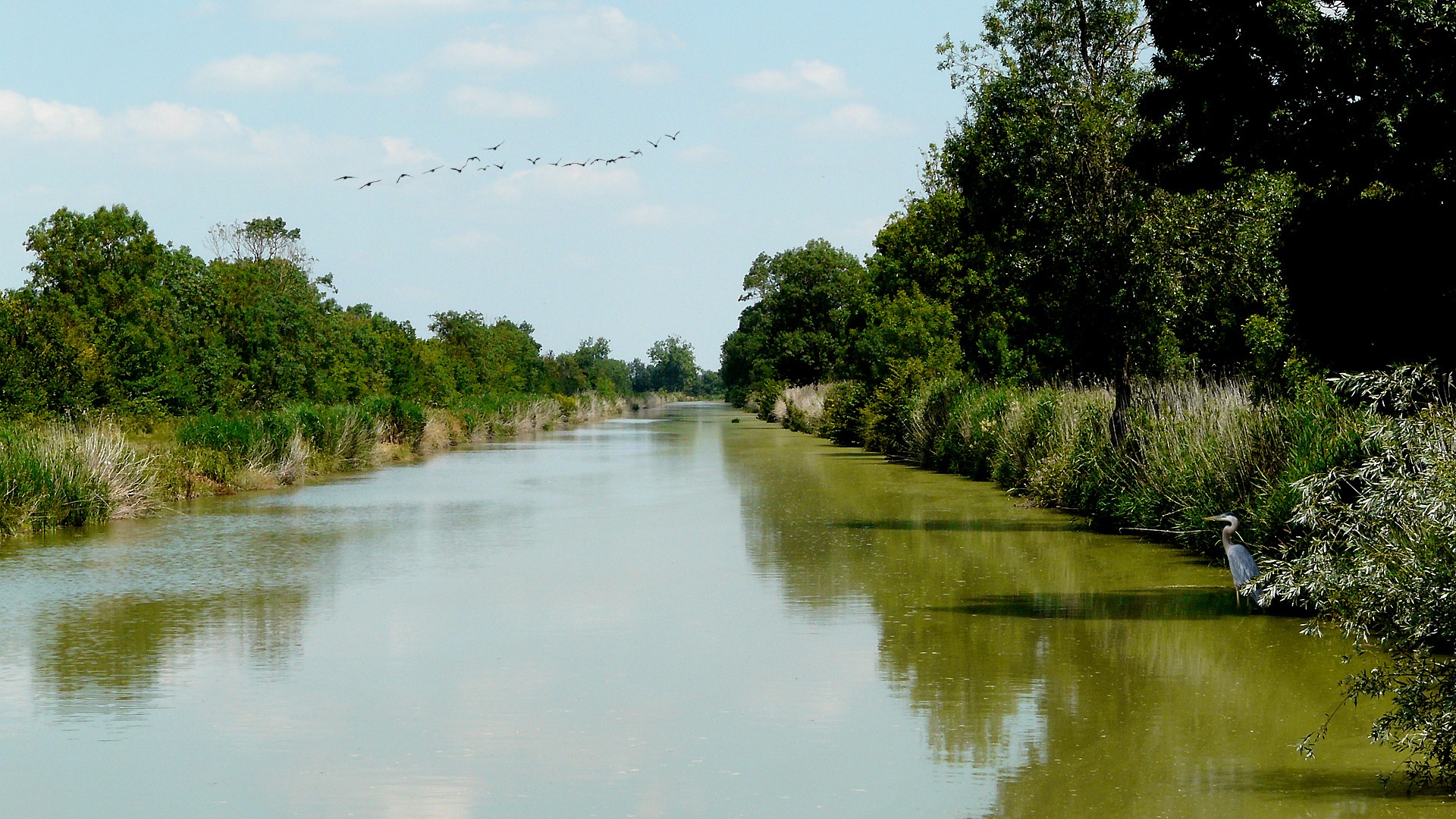 Fonds d'cran Voyages : Europe France > Poitou Charente Le marais charentais