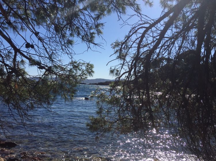 Fonds d'cran Nature Mers - Ocans - Plages comme un vantail