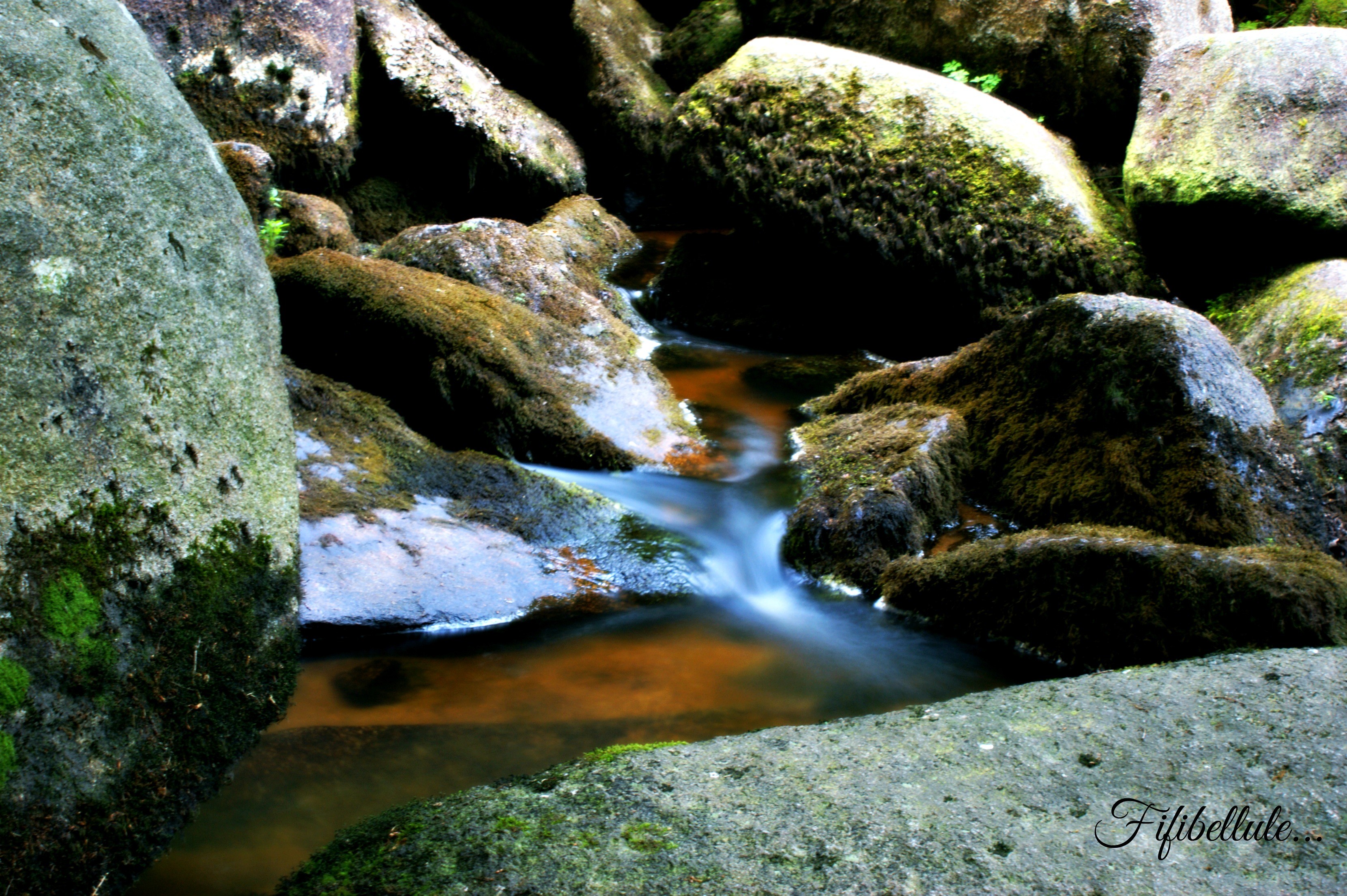 Fonds d'cran Nature Fleuves - Rivires - Torrents 