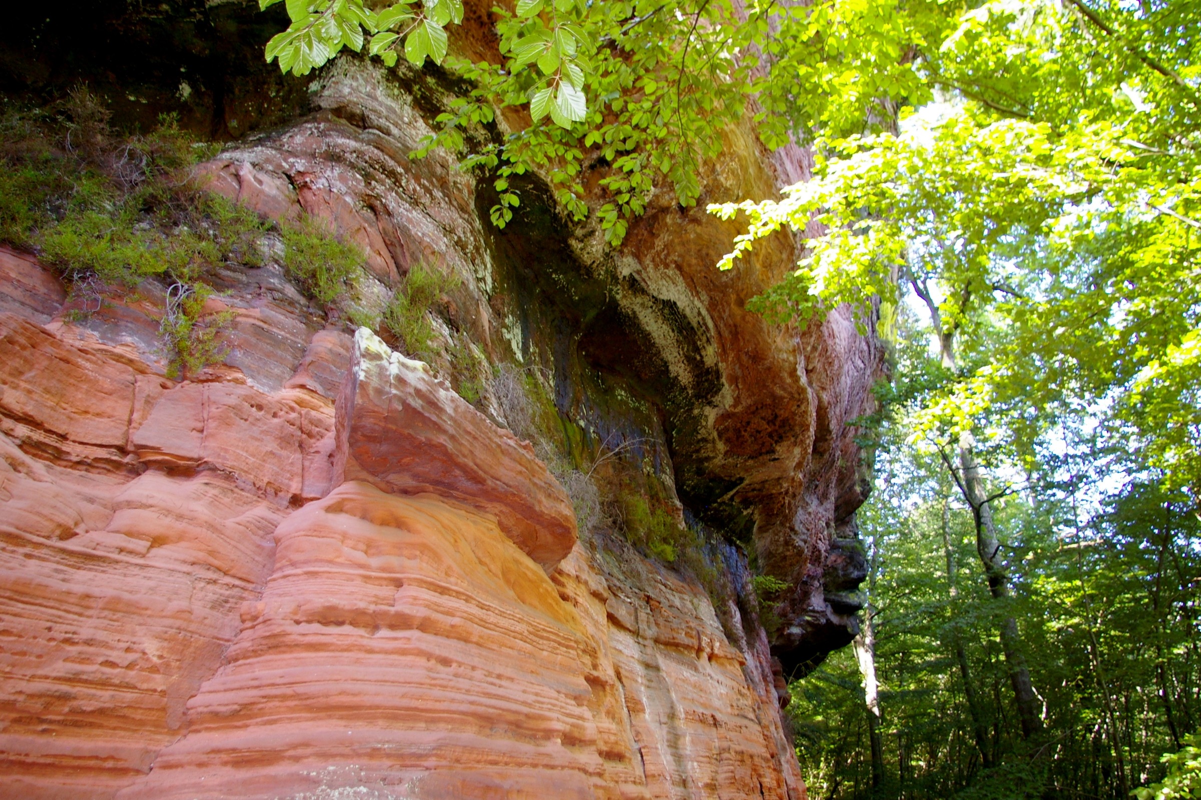 Fonds d'cran Nature Roches - Pierres - Sables pres de Bitche en Moselle entre frontière francaise et allemande l' Altschlossfelsen