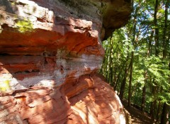  Nature pres de Bitche en Moselle entre frontière francaise et allemande l' Altschlossfelsen