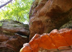  Nature pres de Bitche en Moselle entre frontière francaise et allemande l' Altschlossfelsen