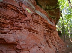  Nature pres de Bitche en Moselle entre frontière francaise et allemande l' Altschlossfelsen