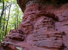  Nature pres de Bitche en Moselle entre frontire francaise et allemande l' Altschlossfelsen