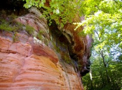  Nature pres de Bitche en Moselle entre frontière francaise et allemande l' Altschlossfelsen