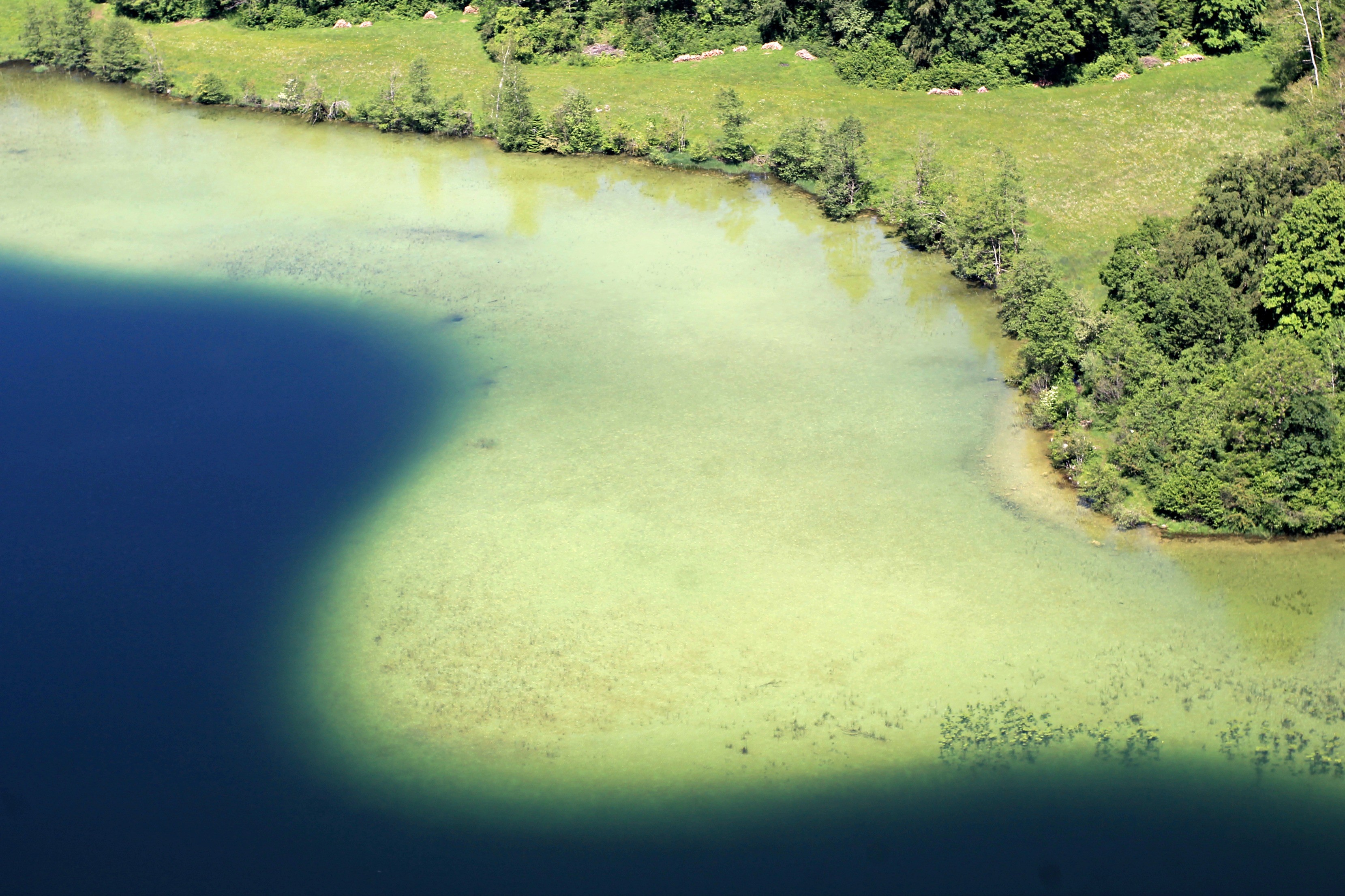 Wallpapers Nature Water belvedre des 4 lacs (jura)