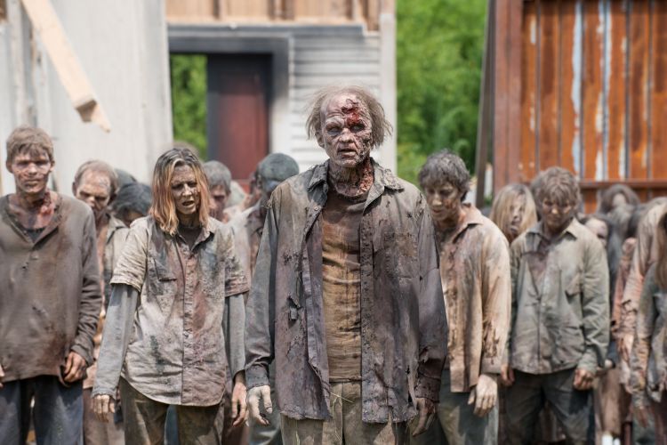 Fonds d'cran Sries TV The Walking Dead Zombie