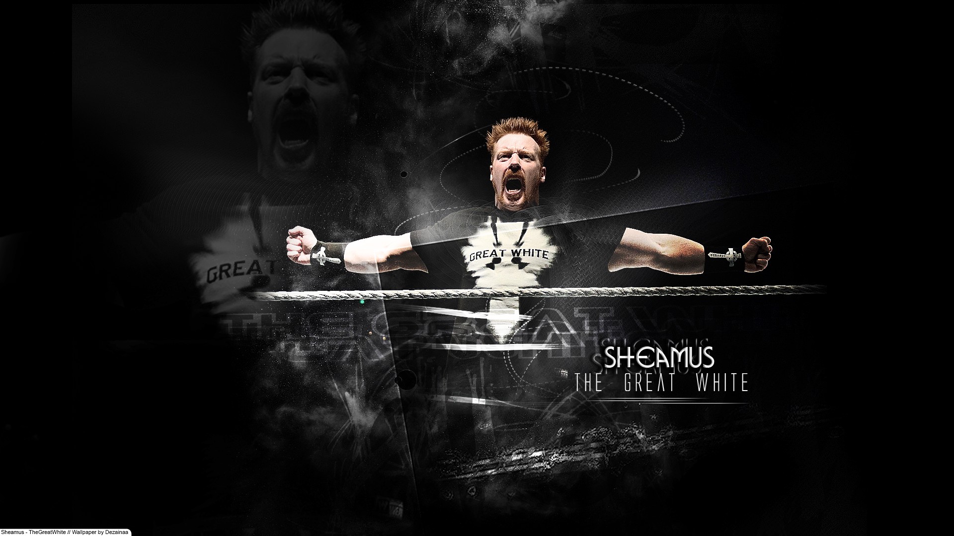 Wallpapers Sports - Leisures Catch Sheamus